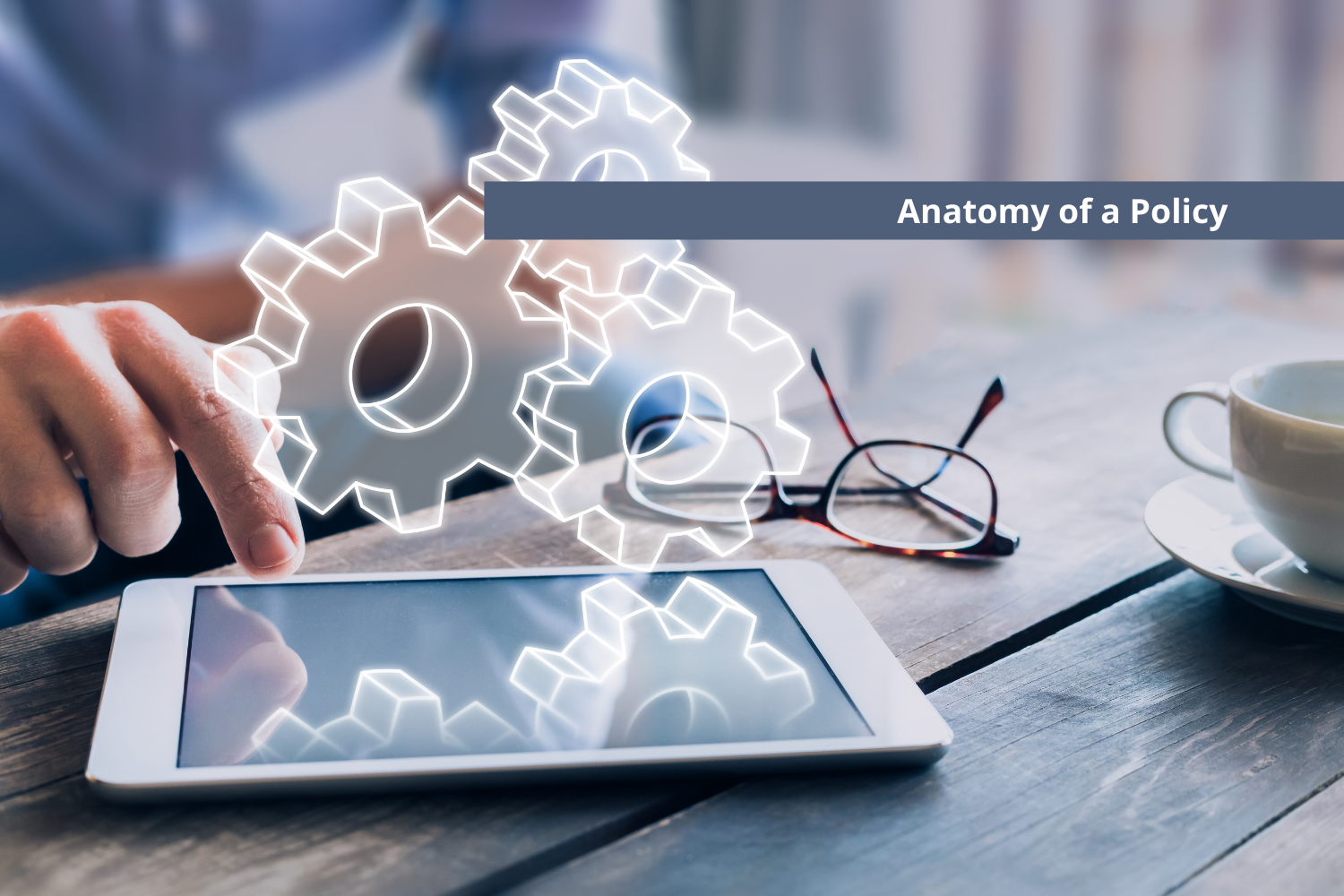 Anatomy of a Policy