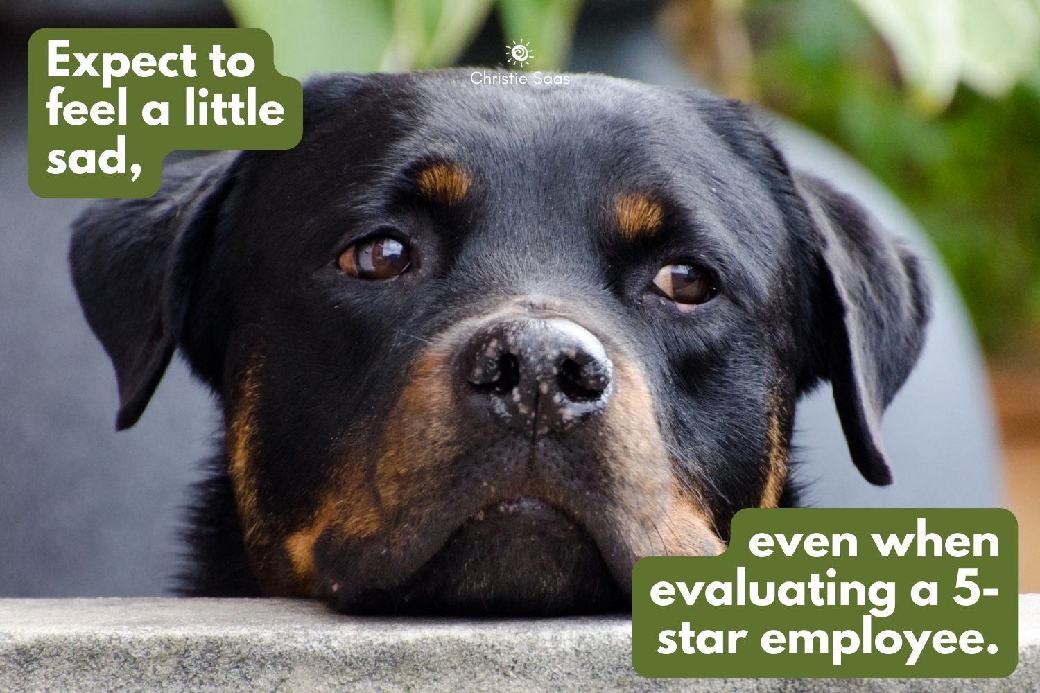 Let the employee do most of the talking at the annual performance review