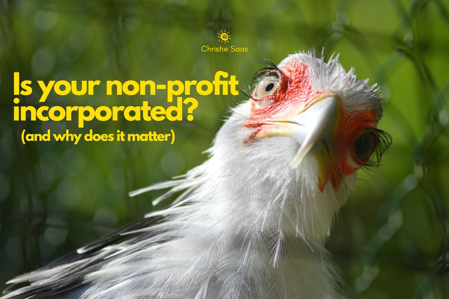 Is your non-profit incorporated? (and why does it matter)