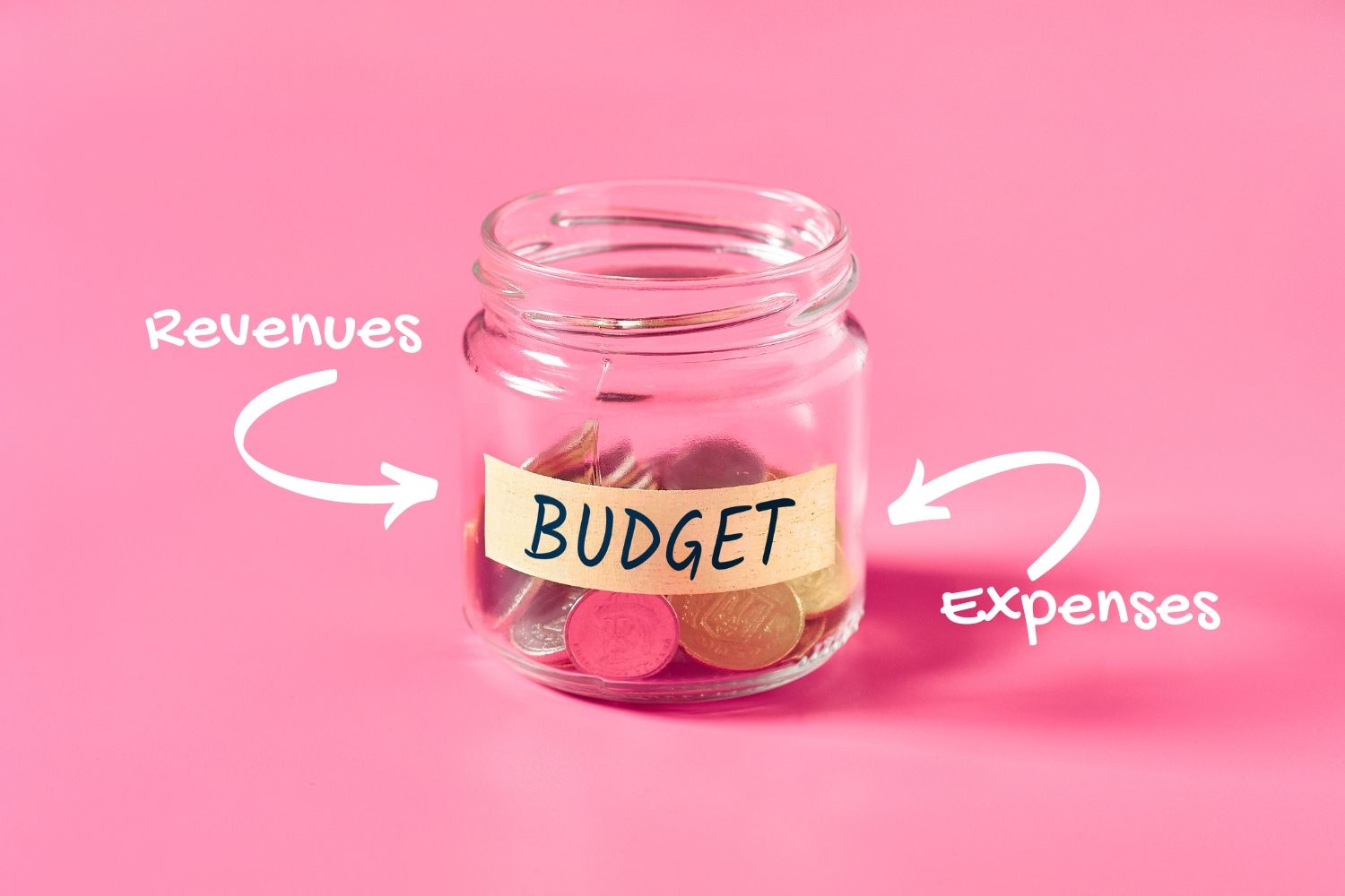 Non-Profit Budget Basics