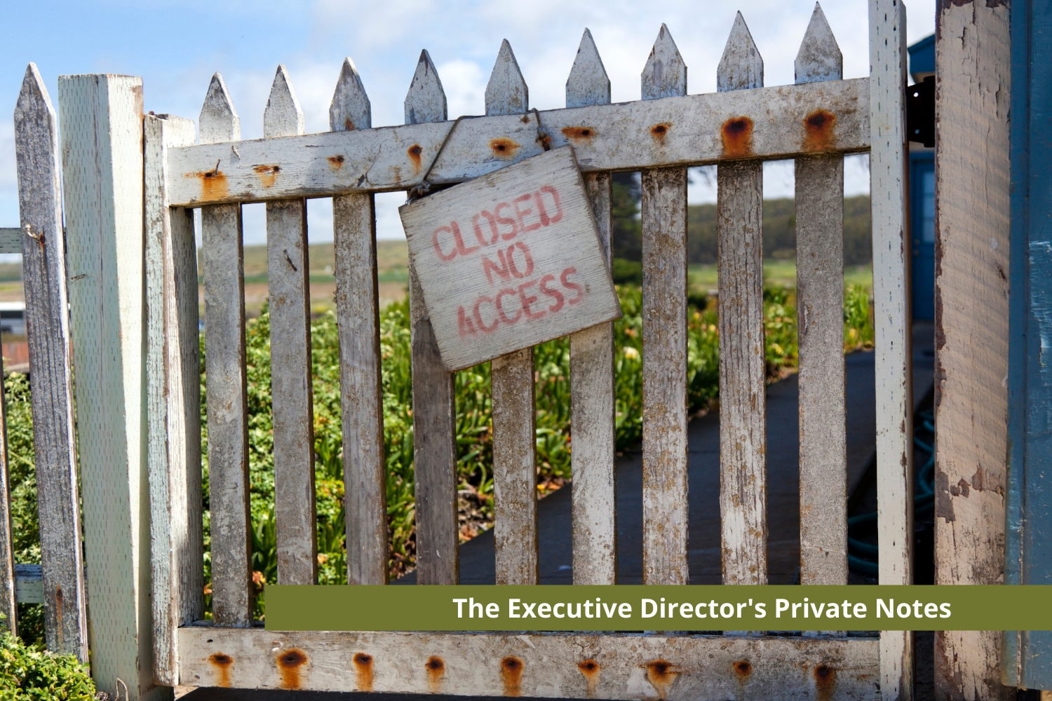 The Executive Director's Private Notes