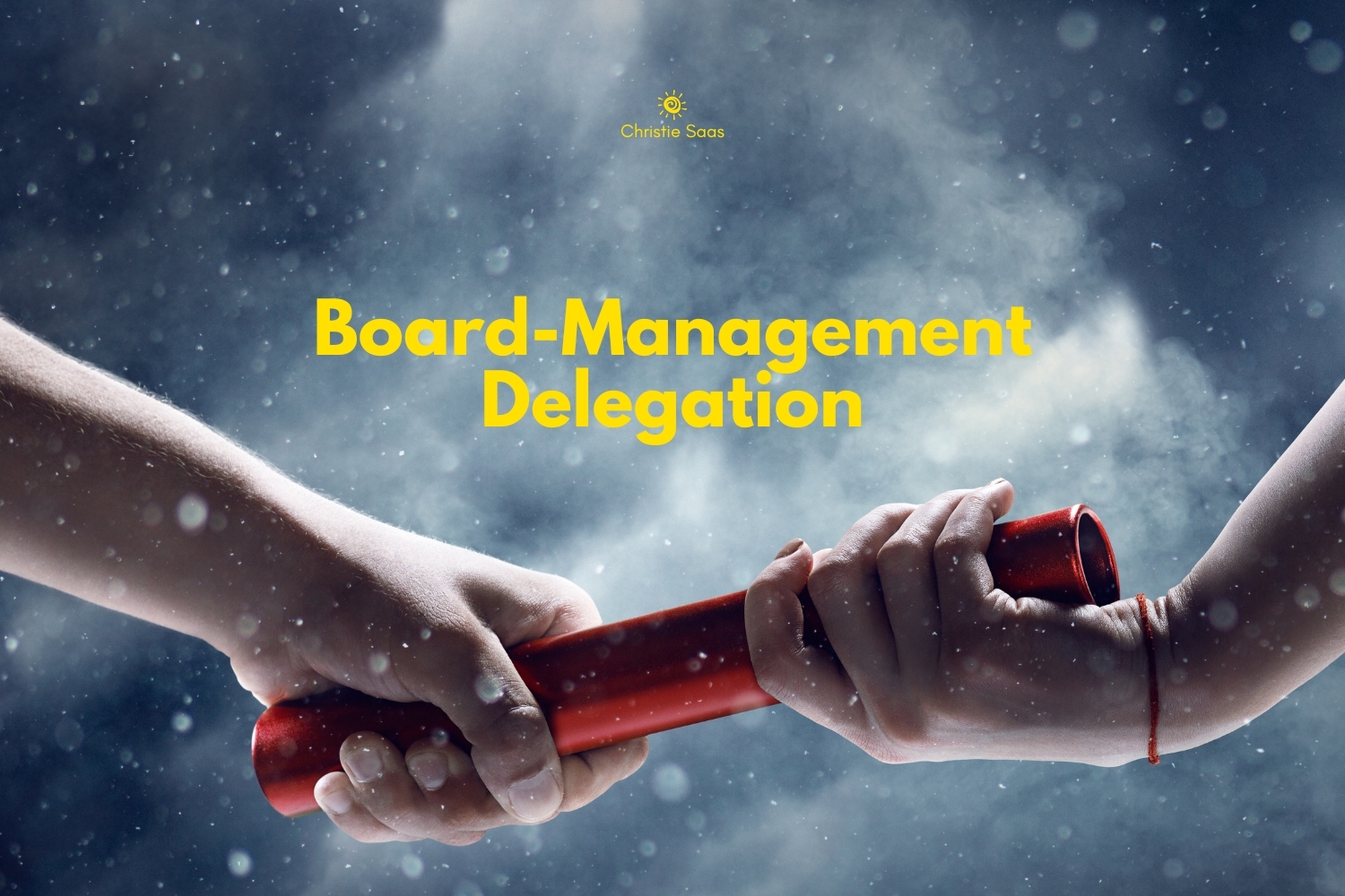 Board - Management Delegation