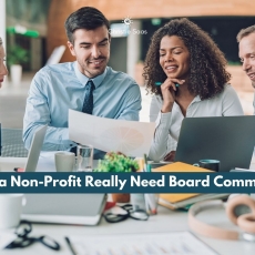 Does a Non-Profit Really Need Board Committees