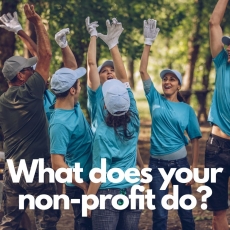 Can you describe what your non-profit does, in ONE sentence?